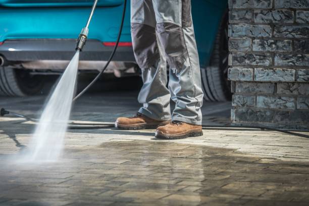 Best Paint Preparation  in Plainfield, NJ